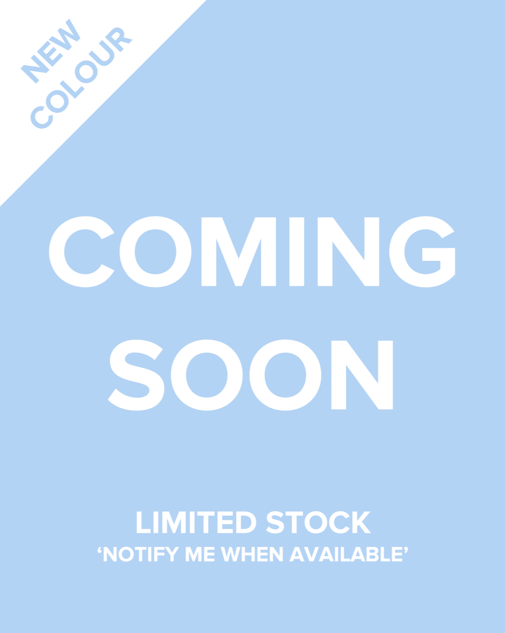 Oversized Premium Weight Organic T-Shirt