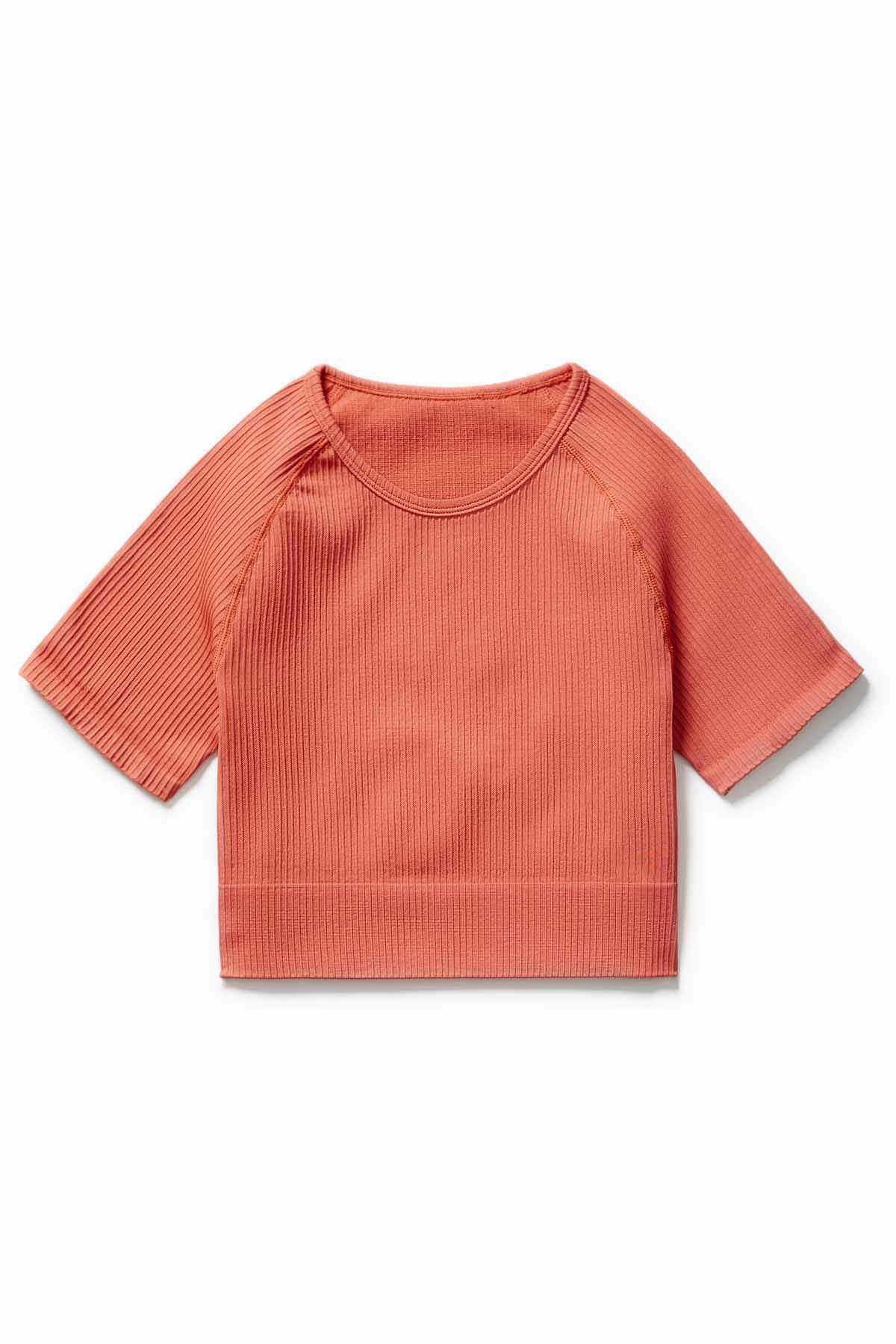 Ribbed Seamless Crop Tee
