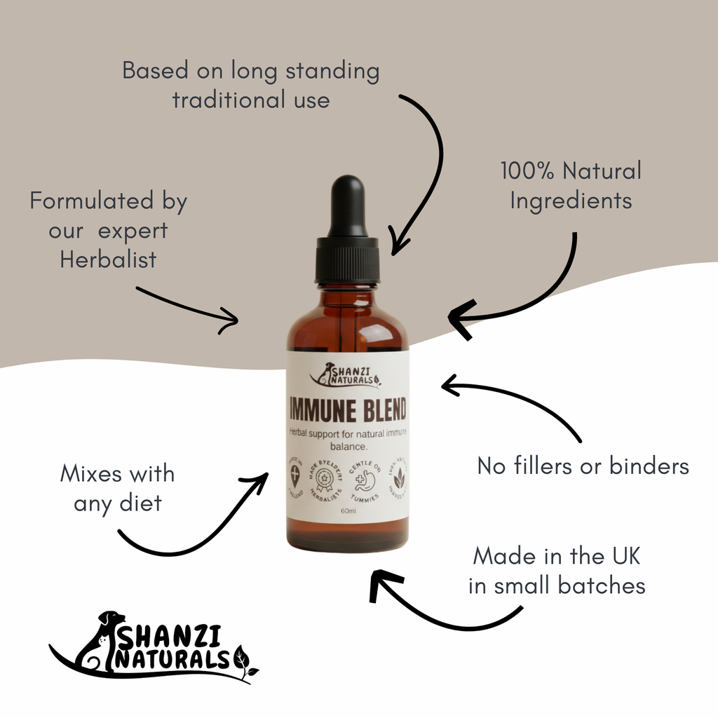 Immune Blend