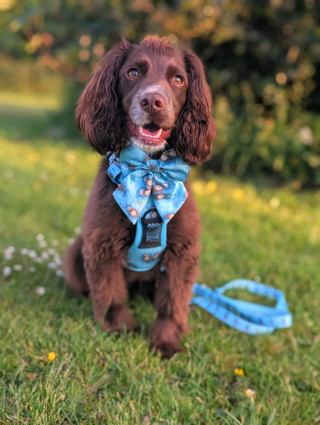 Otterly Lovely Tactical Dog Harness