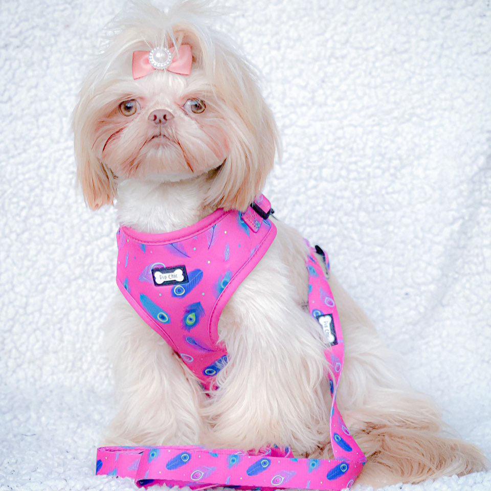 Peacock Power Adjustable Dog Harness - hot pink peacock feather dog harness
