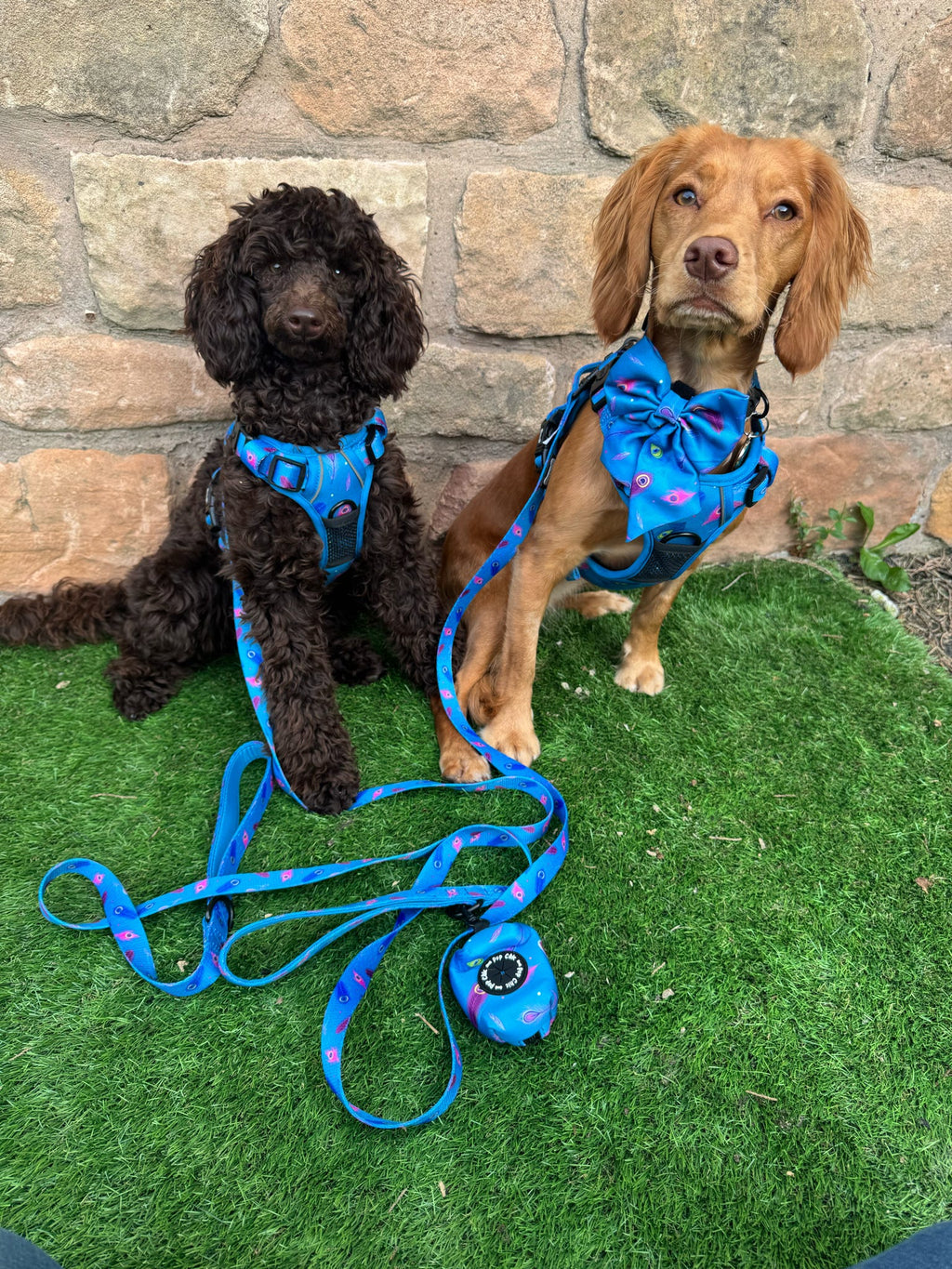 Power Peacock Tactical Dog Harness – No Pull & Fully Adjustable